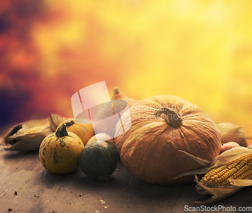 Image of Autumn crops