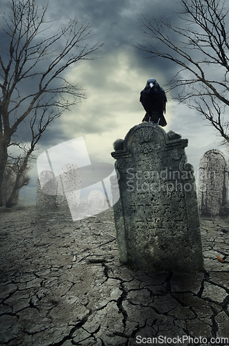 Image of Crow on the tombstone