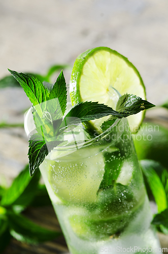 Image of Mojito