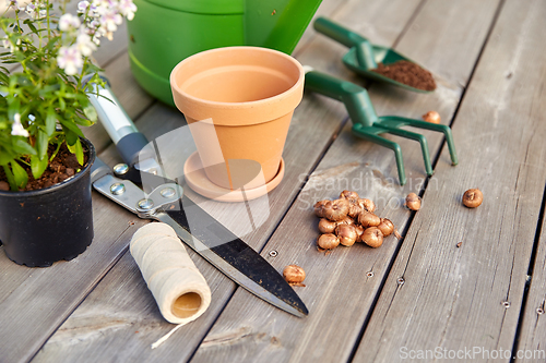 Image of garden tools and flowers on wooden terrace