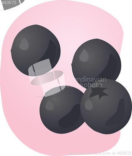 Image of Blueberries illustration