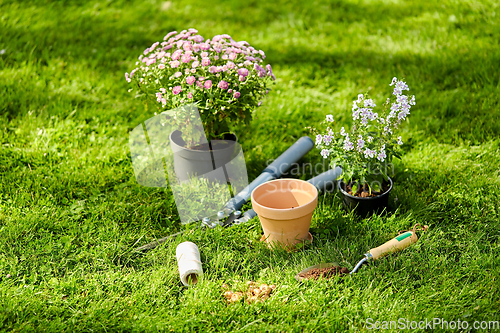 Image of garden tools and flowers on grass at summer