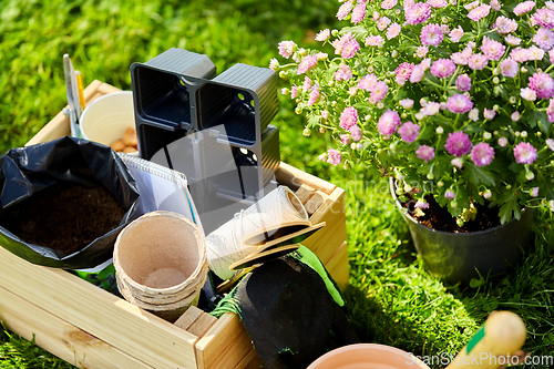 Image of garden tools in wooden box at summer