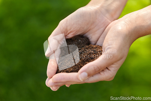 Image of cupped hands holding soil in shape of heart