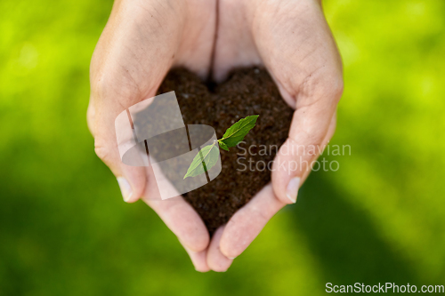 Image of hands holding plant growing in handful of soil