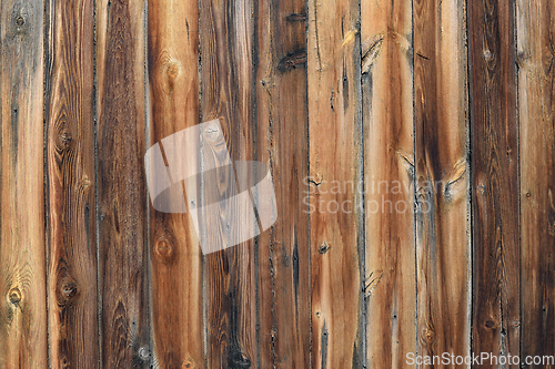 Image of Old spruce planks texture