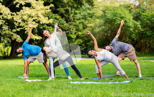 Image of group of happy people doing yoga at summer park