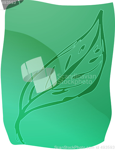 Image of Leaf illustration