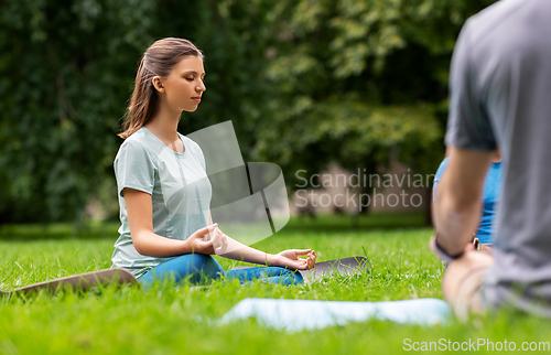 Image of group of people doing yoga at summer park