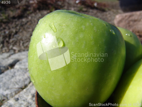 Image of Green apple