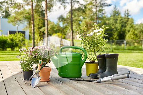 Image of garden tools, flower seedlings and rubber boots