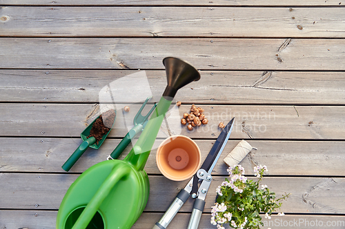 Image of garden tools and flowers on wooden terrace