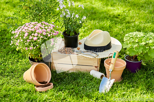 Image of garden tools, wooden box and flowers at summer