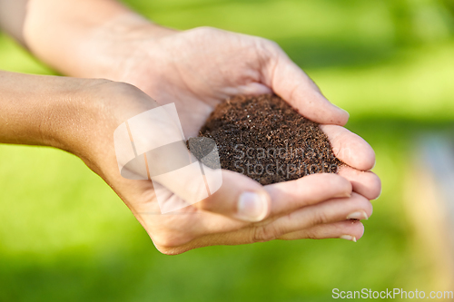 Image of cupped hands holding soil in shape of heart