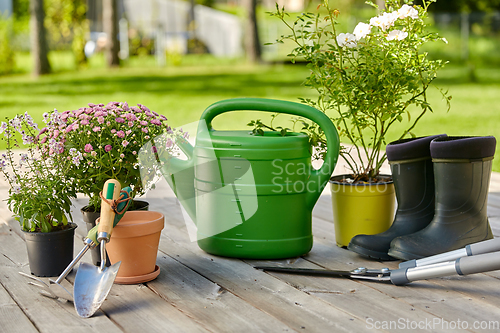 Image of garden tools, flower seedlings and rubber boots