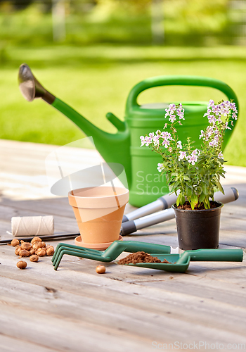 Image of garden tools and flowers on wooden terrace