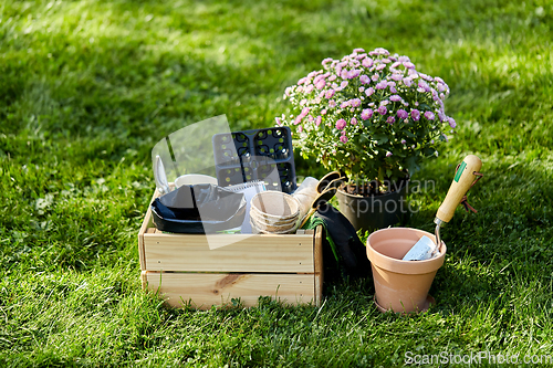 Image of garden tools in wooden box at summer