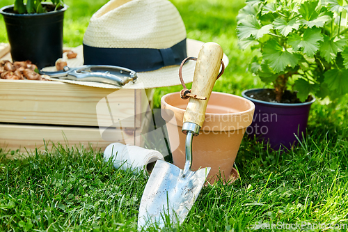 Image of garden tools, wooden box and flowers at summer