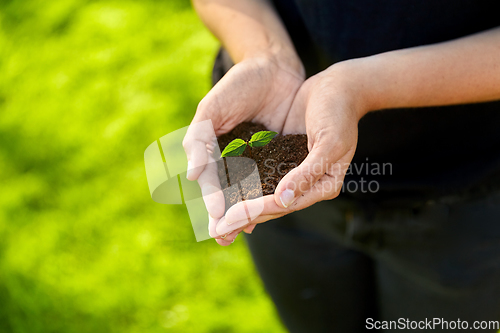 Image of hands holding plant growing in handful of soil