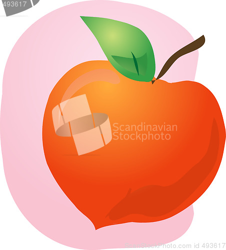Image of Peach fruit illustration