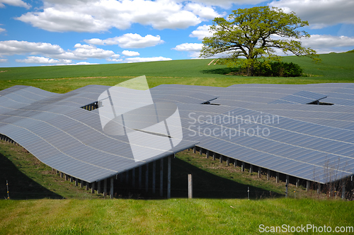 Image of Rows of solar panels and green nature