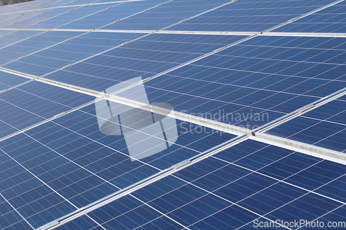 Image of Rows of solar panels