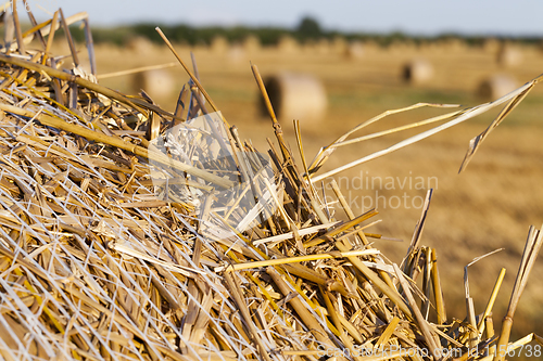 Image of yellow straw