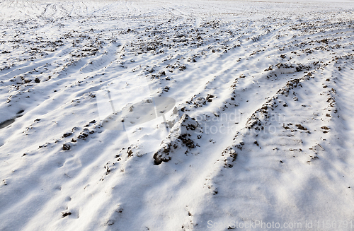 Image of plowed soil under snow