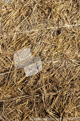 Image of Stacked straw