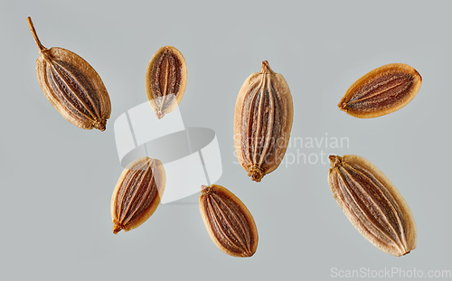 Image of dill seeds macro