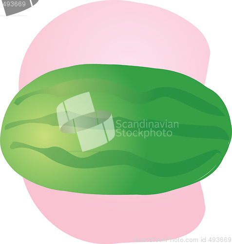 Image of Watermelon fruit illustration