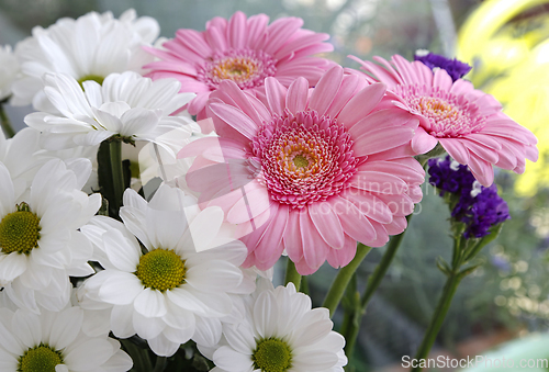 Image of Bouquet of beautiful delicate flowers