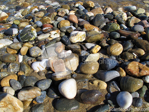 Image of Wet different sea pebbles on the beach