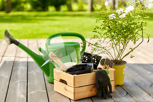 Image of box with garden tools and watering can in summer