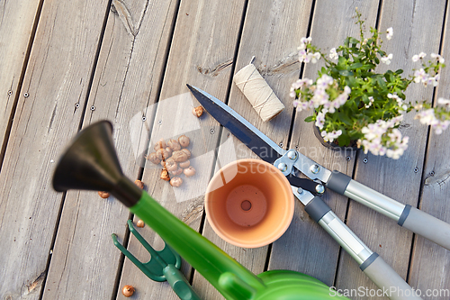 Image of garden tools and flowers on wooden terrace