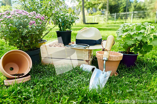 Image of garden tools, wooden box and flowers at summer