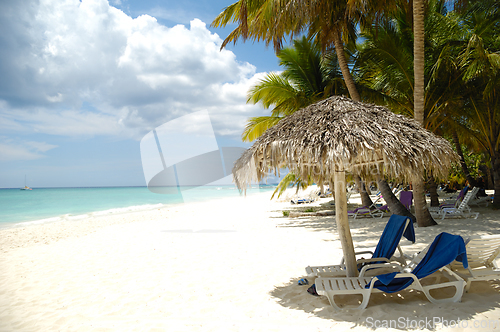 Image of Tropical beach. The Dominican Republic, Saona Island