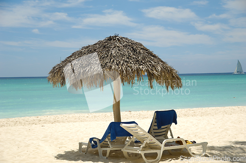 Image of Tropical beach. The Dominican Republic, Saona Island