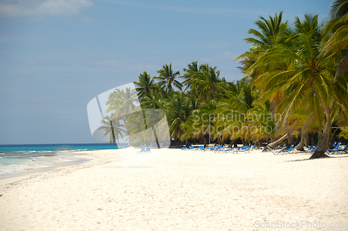 Image of Tropical beach. The Dominican Republic, Saona Island