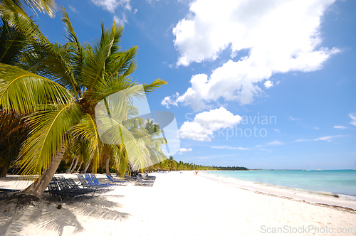 Image of Exotic beach. The Dominican Republic, Saona Island