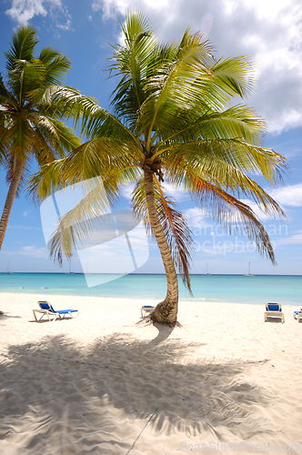 Image of Exotic beach. The Dominican Republic, Saona Island