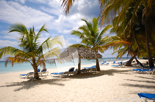 Image of Exotic beach. The Dominican Republic