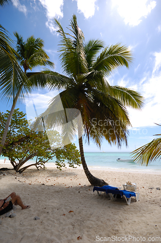 Image of Exotic beach. The Dominican Republic, Saona Island