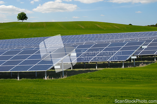 Image of Rows of solar panels and green nature