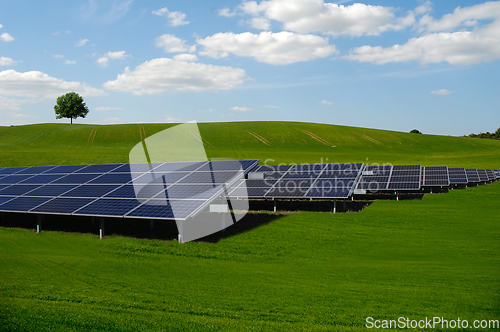 Image of Rows of solar panels and green nature