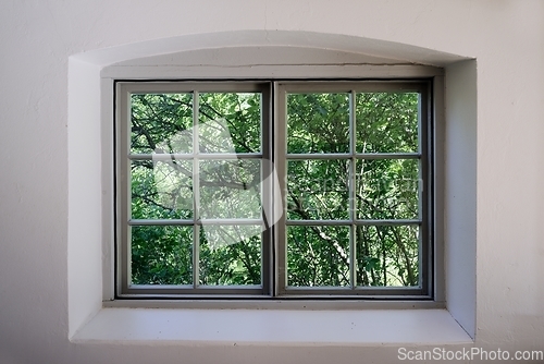 Image of view from the old window to the garden