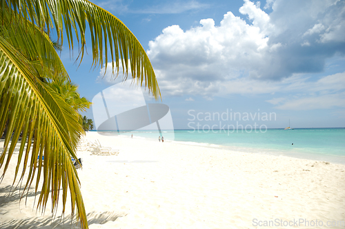 Image of Tropical beach. The Dominican Republic, Saona Island