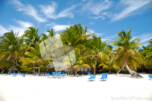 Image of Tropical beach. The Dominican Republic, Saona Island