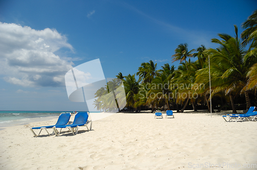 Image of Tropical beach. The Dominican Republic, Saona Island