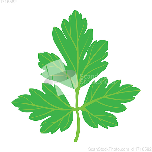 Image of Parsley icon